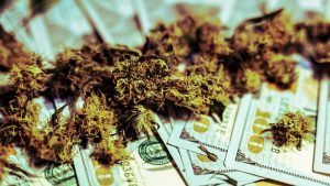 This Chart Shows Why Marijuana Stocks Are Going to Dominate in 2020