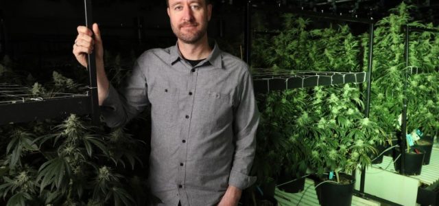 Making cannabis normal at Oakland’s NUG