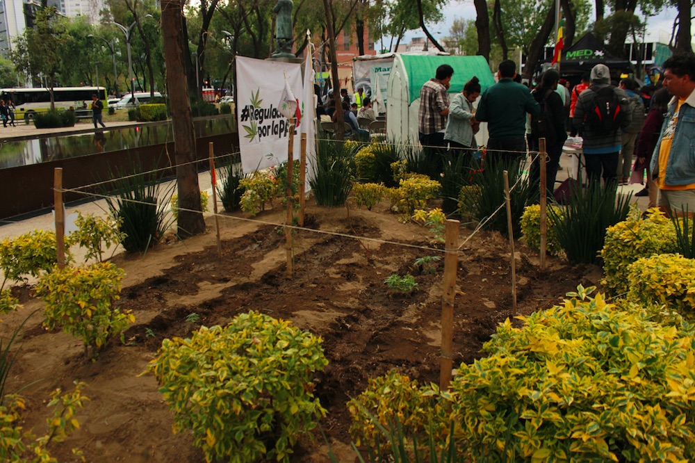 Mexican Pot Activists Invite All to a Semi-Permanent Action in Front of the Senate