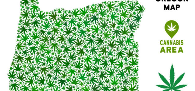 Oregon Cannabis 2020: Legislative Forecast and Report