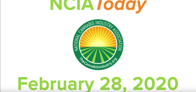 Video: Episode #2 of NCIA Today – #NECannaBizCon recap, Safe Vaping, Illicit Market Summit, and more!