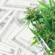 2 Cash-Rich Cannabis Stocks That Can Withstand a Global Recession