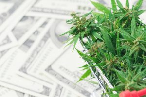 2 Cash-Rich Cannabis Stocks That Can Withstand a Global Recession
