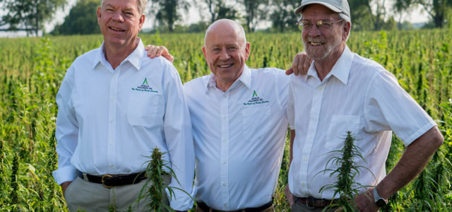 Another Kentucky hemp company files for bankruptcy