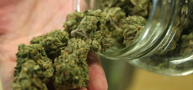 Medical Marijuana Study Reveals A Major Flaw In Using THC For Pain