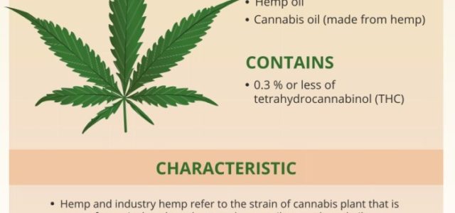 Simple Guide to Hemp vs Marijuana