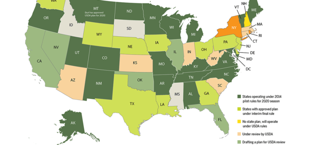 States split on following USDA hemp rules in 2020