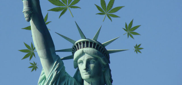 Top MJ Reform Group Wants Help Holding Lawmakers Accountable On Legalization