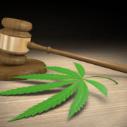 Court allows Nevada hemp grower lawsuit for public land access to proceed