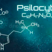 Researchers Manufacture Psilocybin with Bacteria and Yeast