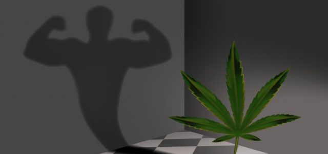 5 Health Benefits of CBD for Fitness and Bodybuilding