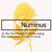 Dr. Evan Wood, recognized leader in the field of substance use research and treatment, joins Numinus as Chief Medical Officer