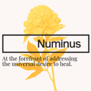 Dr. Gabor Maté joins Numinus as Member of the Clinical Advisory Council