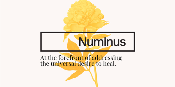 Dr. Gabor Maté joins Numinus as Member of the Clinical Advisory Council