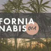 FREE California Cannabis Q&A Webinar This Thursday at 12 PST. Join Us!