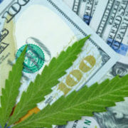 International Cannabis: Guidance for Companies Entering the U.S. Market, Part 2 – Taxation