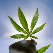 3 U.S. Cannabis Stocks up More Than 100% Since March