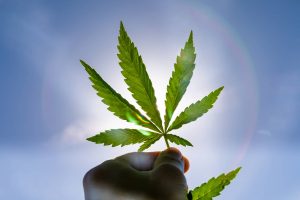 3 U.S. Cannabis Stocks up More Than 100% Since March