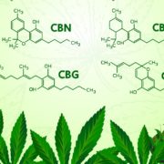 Canadian and Spanish hemp companies team up to distribute CBG in Canada