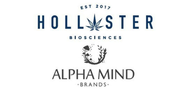 Hollister Biosciences Inc. Subsidiary AlphaMind Brands Inc. Plans Launch of Initial Medicinal Mushroom Based Product Line