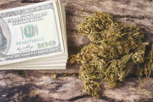 Pot Stocks Are Set to See Huge Growth: Here’s How to Profit
