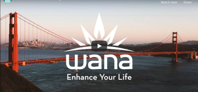 Wana Brands launches new CBD/THC ratio for Ohio’s medical market