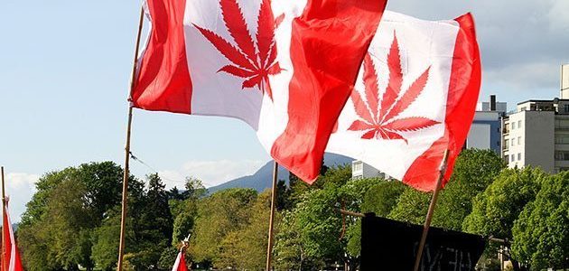 Canada Marijuana Dispensary Count Tops 1,000 For the First Time