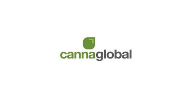 CannaGlobal, Sansero Life Sciences and Rise Wellness To Merge, Creating a New International Psychedelics Company