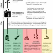 Federal Policy on Hemp CBD Is Taking Shape: What Needs to Be Addressed?
