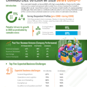 Infographic: COVID-19’s Impact on Executive Decision-Making