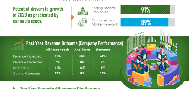 Infographic: COVID-19’s Impact on Executive Decision-Making