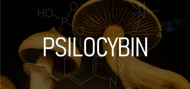 Legalizing Medicinal Use of Psilocybin on Oregon’s November Ballot