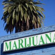 Medical marijuana sales top $100M