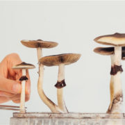 Psychedelics Investing 101: Basic Investing Tips