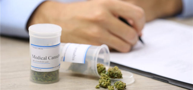 San Francisco City College Offering Cannabis Studies Degree