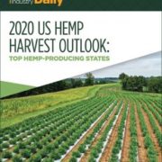 2020 Hemp Harvest Outlook: Production acreage decreases for first year since 2014 hemp pilot re-established crop