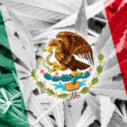 Big Ideas: Apply For Your Mexico Cannabis License NOW