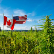 Canada, US business groups to support global cannabis industry expansion