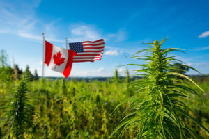 Canada, US business groups to support global cannabis industry expansion