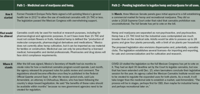 Chart: Making sense of Mexico’s dual legalization measures