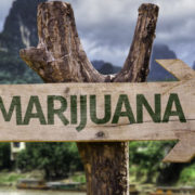 Four More Ohio Cities Will Vote On Marijuana Decriminalization This November