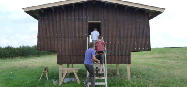 Hempcrete: How Sustainable Construction Could Change the World