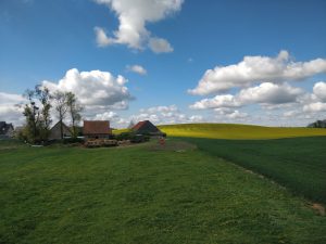 In Poland, hemp production growing fast despite legal ambiguity, uneven enforcement