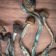 Psychedelics Decriminalization Initiative Officially Qualifies For D.C. Ballot