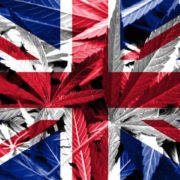 UK cannabis groups push government to ease trade restrictions