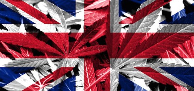 UK cannabis groups push government to ease trade restrictions