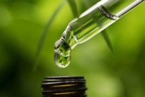 What’s the difference between marijuana CBD and hemp CBD?