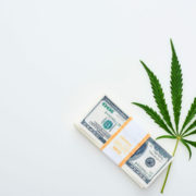 Cannabis Fundraising: Seven Key Takeaways from the SEC’s New Accredited Investor Rules