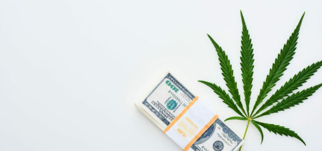 Cannabis Fundraising: Seven Key Takeaways from the SEC’s New Accredited Investor Rules