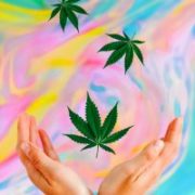 High Tide Inc: Overlooked Pot Stock Just Reported Some Big News